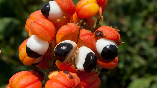 Guarana powder Delicious recipes